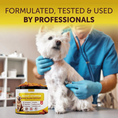 Scoot Stopper Soft Chews   Fiber for Dogs   Dog Anal Gland and Digestion Support
