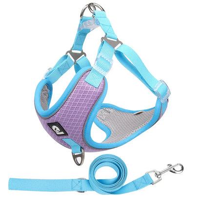 Adjustable Breathable Dog Harness with Leash – No-Pull, No-Choke, Secure Fit