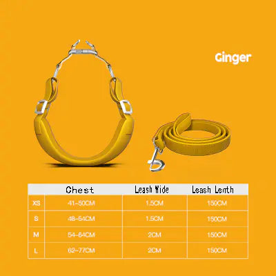Pet Harness with Leash