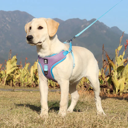 Adjustable Breathable Dog Harness with Leash – No-Pull, No-Choke, Secure Fit