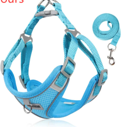 Adjustable Breathable Dog Harness with Leash – No-Pull, No-Choke, Secure Fit
